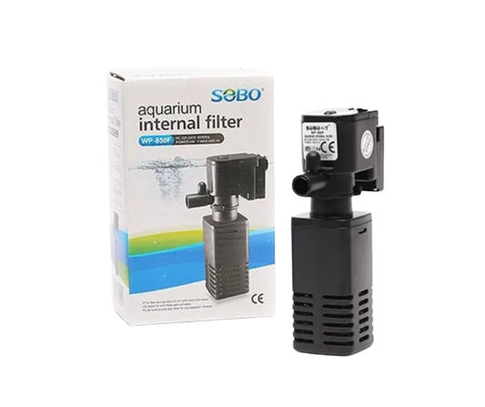 Goudkleurige armband met kleine muntjes - Bella Mar Jewellery