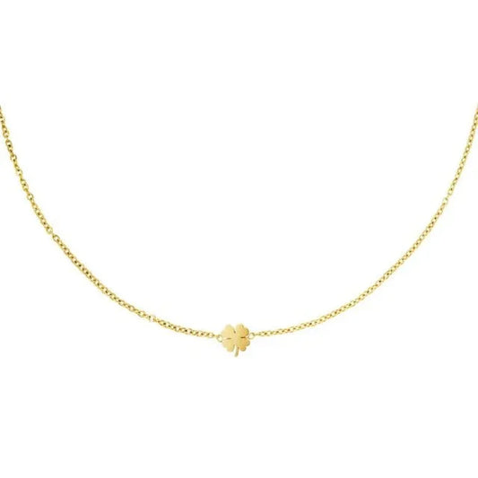 Goudkleurige ketting met klavertje vier - Bella Mar Jewellery